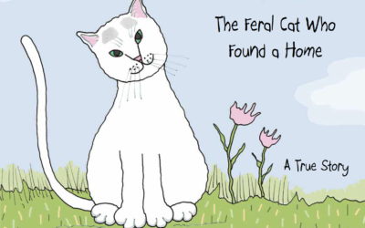 Stray Cat Stories Make a Charming, Charitable Holiday Gift