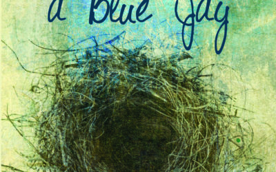 Message from a Blue Jay Takes Flight – Again (along with four short stories)